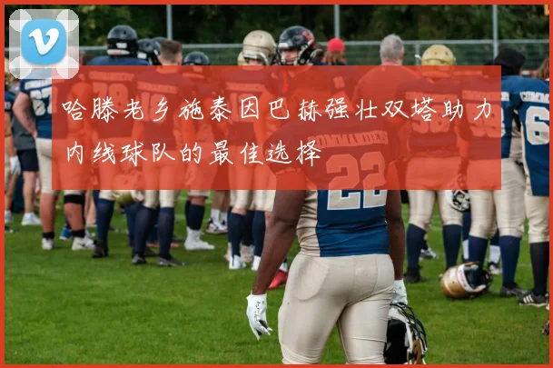 哈滕老乡施泰因巴赫强壮双塔助力内线球队的最佳选择