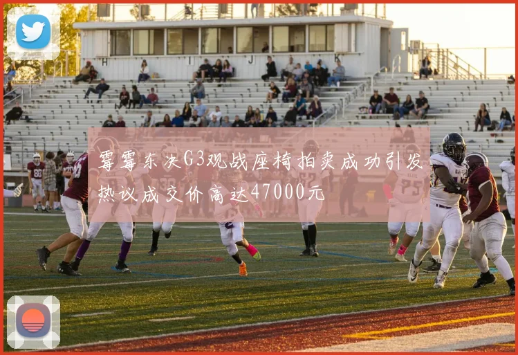 霉霉东决G3观战座椅拍卖成功引发热议成交价高达47000元